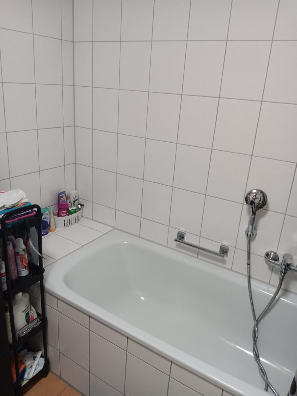 Apartment 3 Freimann